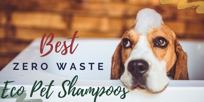 Best Zero Waste Eco Pet Shampoos