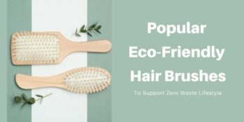 Popular Eco-Friendly Hair Brushes To Support Zero Waste Lifestyle