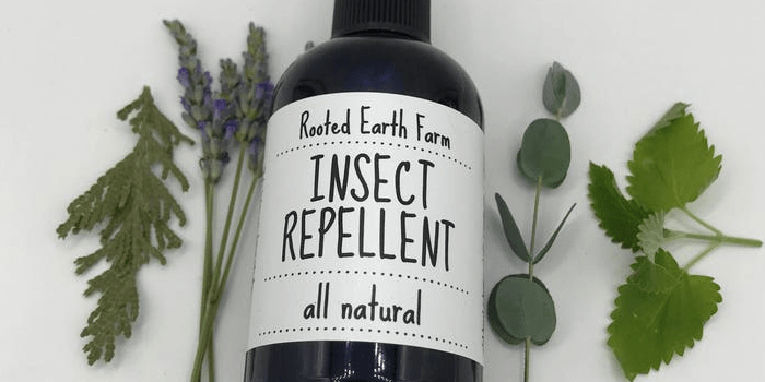 Insect Repellent - Best for Your Skin