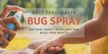 Best Zero Waste Bug Spray — Natural Insect Repellent For Buzz-Free Nights