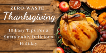 Zero-Waste Thanksgiving: 10 Easy Tips For a Sustainably Delicious Holiday