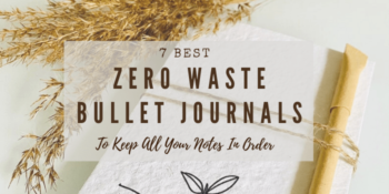 7 Best Zero Waste Bullet Journals To Keep All Your Notes In Order
