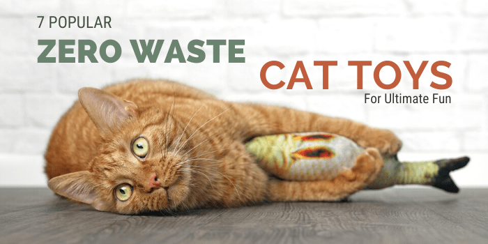 7 Popular Zero Waste Cat Toys For Ultimate Fun
