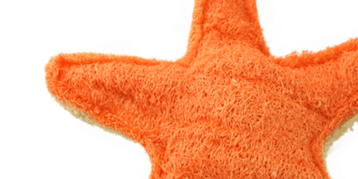 Organic Loofah Dental Dog Toy — Starfish
