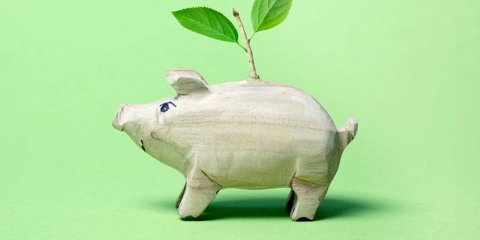Can sustainable living save me money?