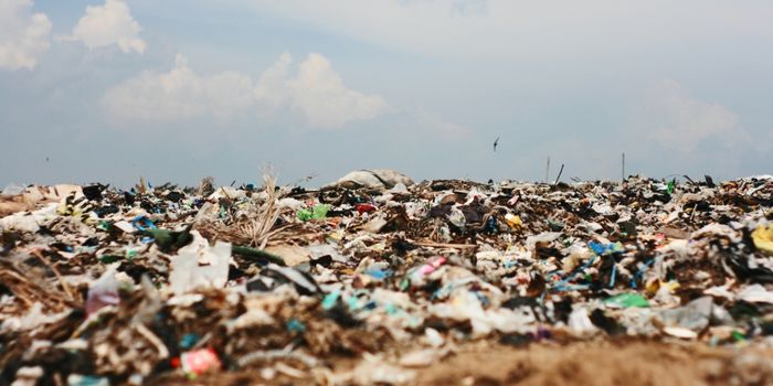 Landfill in Garbage