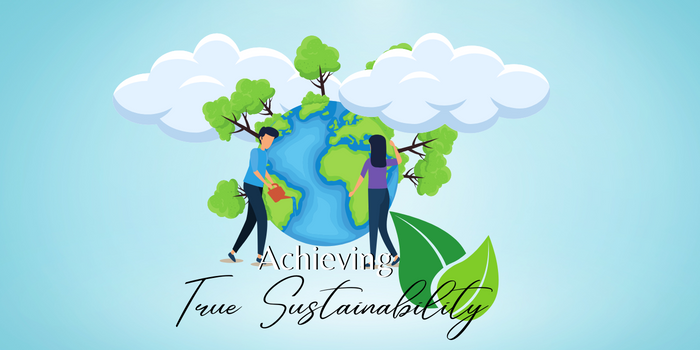 Achieving True Sustainability Guide