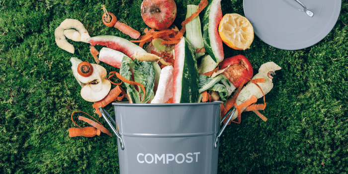  Compost food scraps