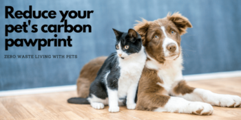 Zero Waste Living with Pets: The Ultimate Guide