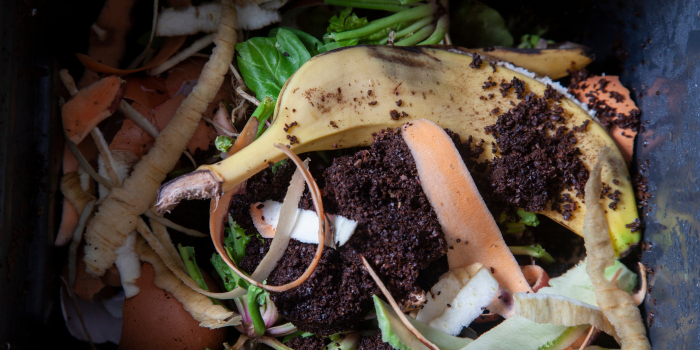 The Science of Composting – A Guide to Different Types of Composting Methods