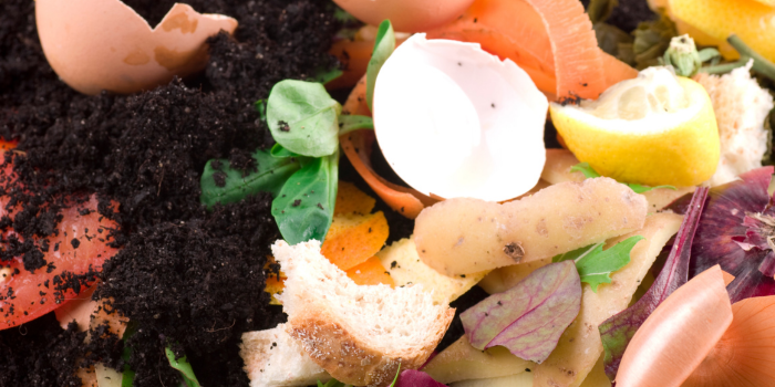 Unlock the Power of Compost: Improve Soil, Save Money!