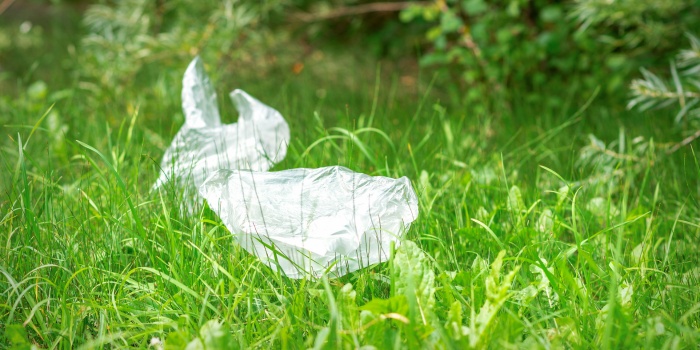 Repurposing And Reusing Plastic Bags