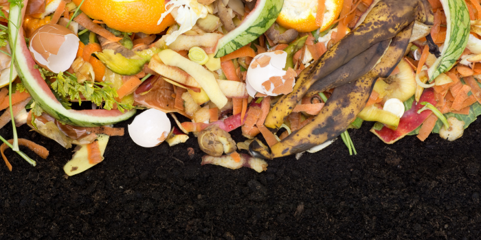 Other Benefits of Composting You May Not Know About