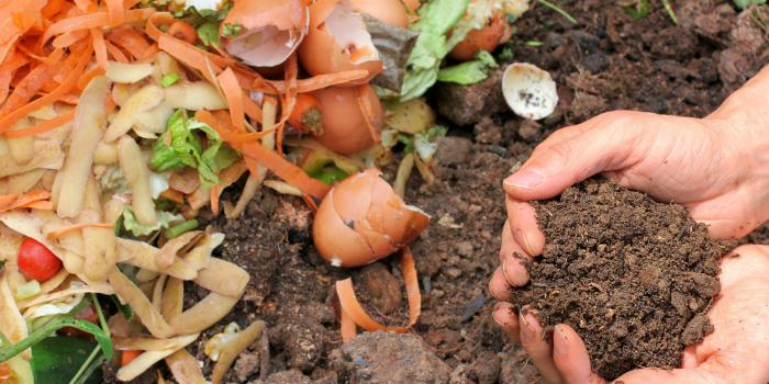 The Environmental Impact Of Composting
