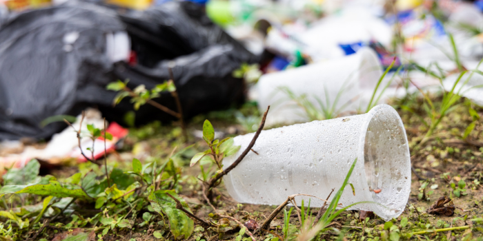 The Truth About Biodegradable Plastics: What You Need to Know